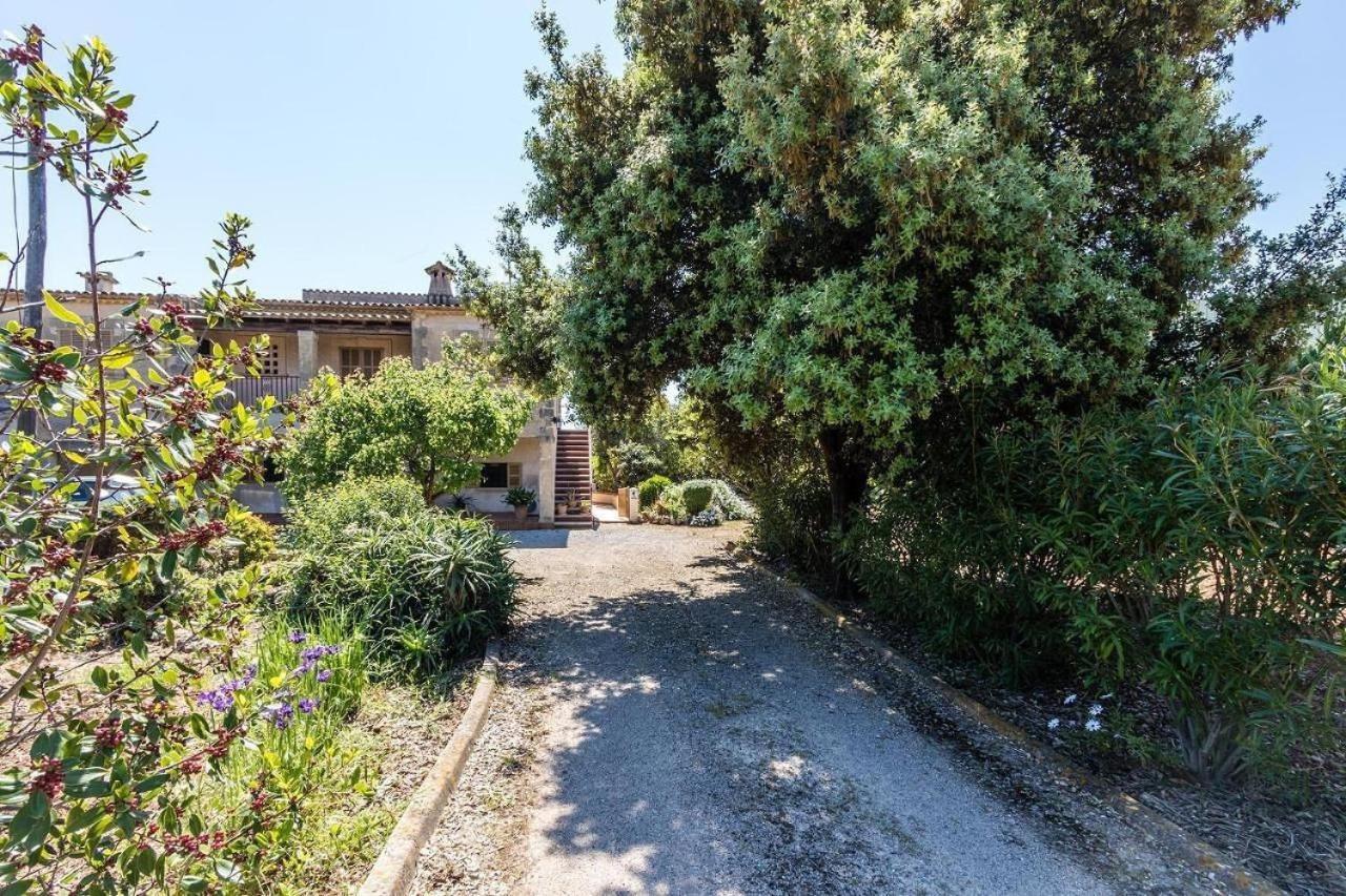 Panada Villa Pollenca